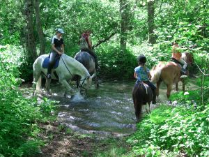 Pferde und Reiter am Nölblinger Brunnen